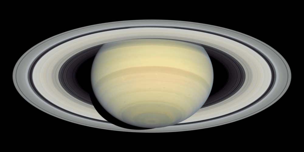 Rhubarb, Royalty and the Rings of Saturn.